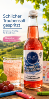 Schilchertraubensaft gespritzt (24Stk.)
